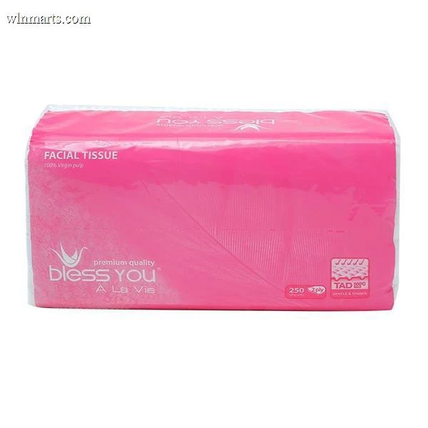 Giấy ăn 2 lớp Bless You Softpack (gói 250 tờ)